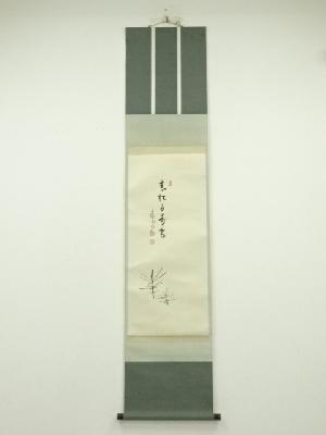 大徳寺　長谷川寛州筆　「青松多寿色」若松画賛　肉筆紙本掛軸（共箱）